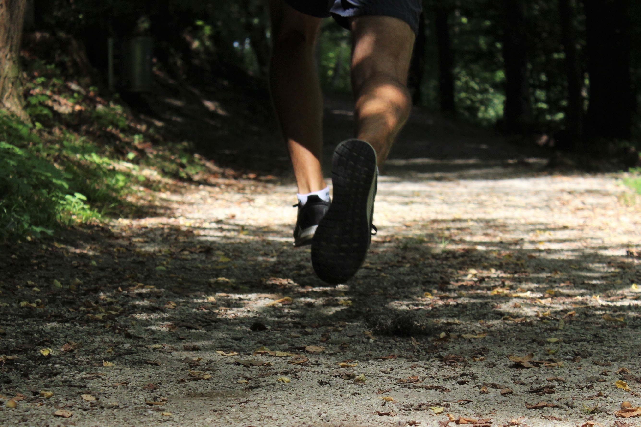 Image for Adidas Terrex 20K Trail Run