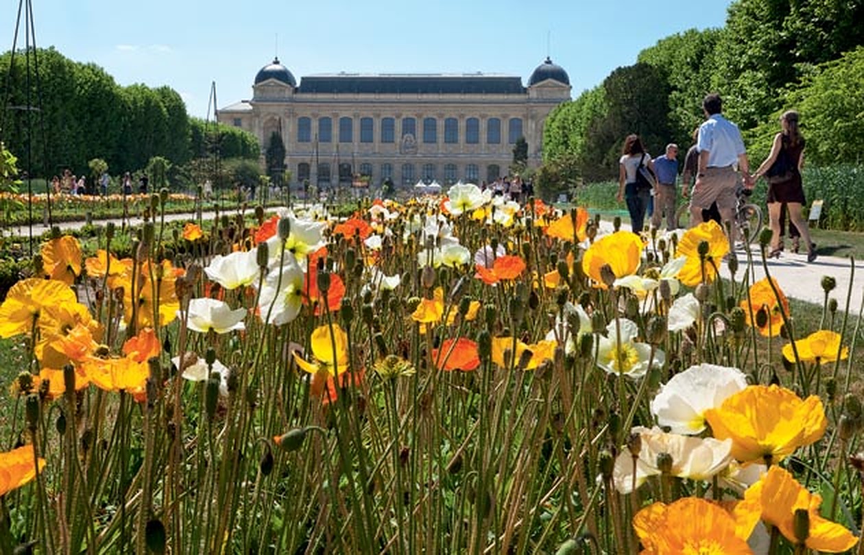 Image for Fete des jardins de Paris