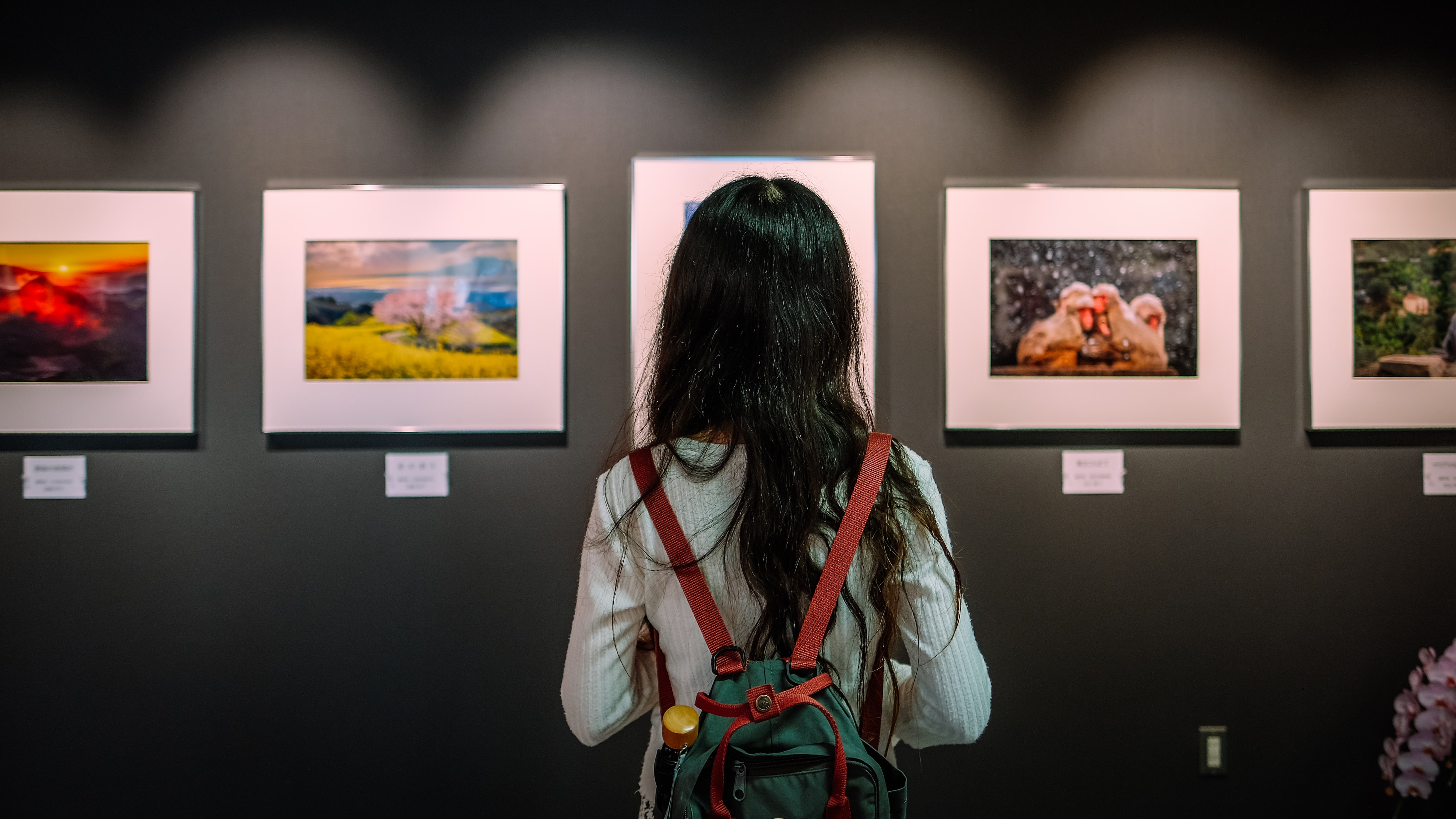 Image for Palm Springs Museum Thursday Night