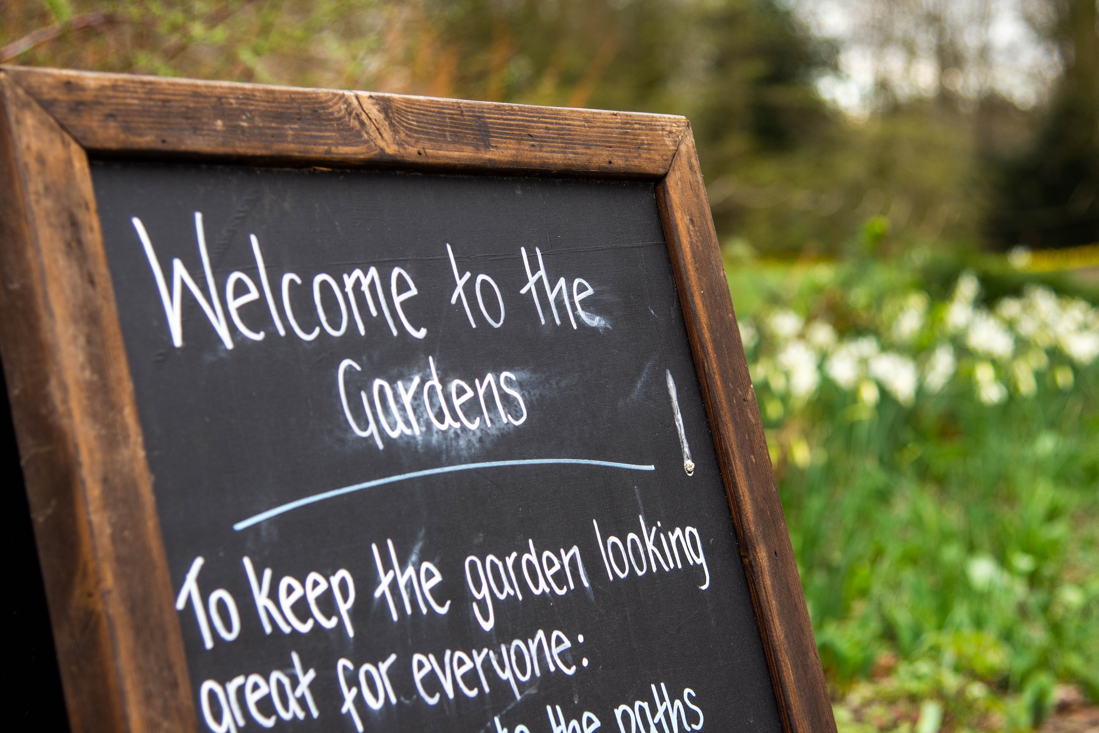 Image for Colorado Springs Garden Tour