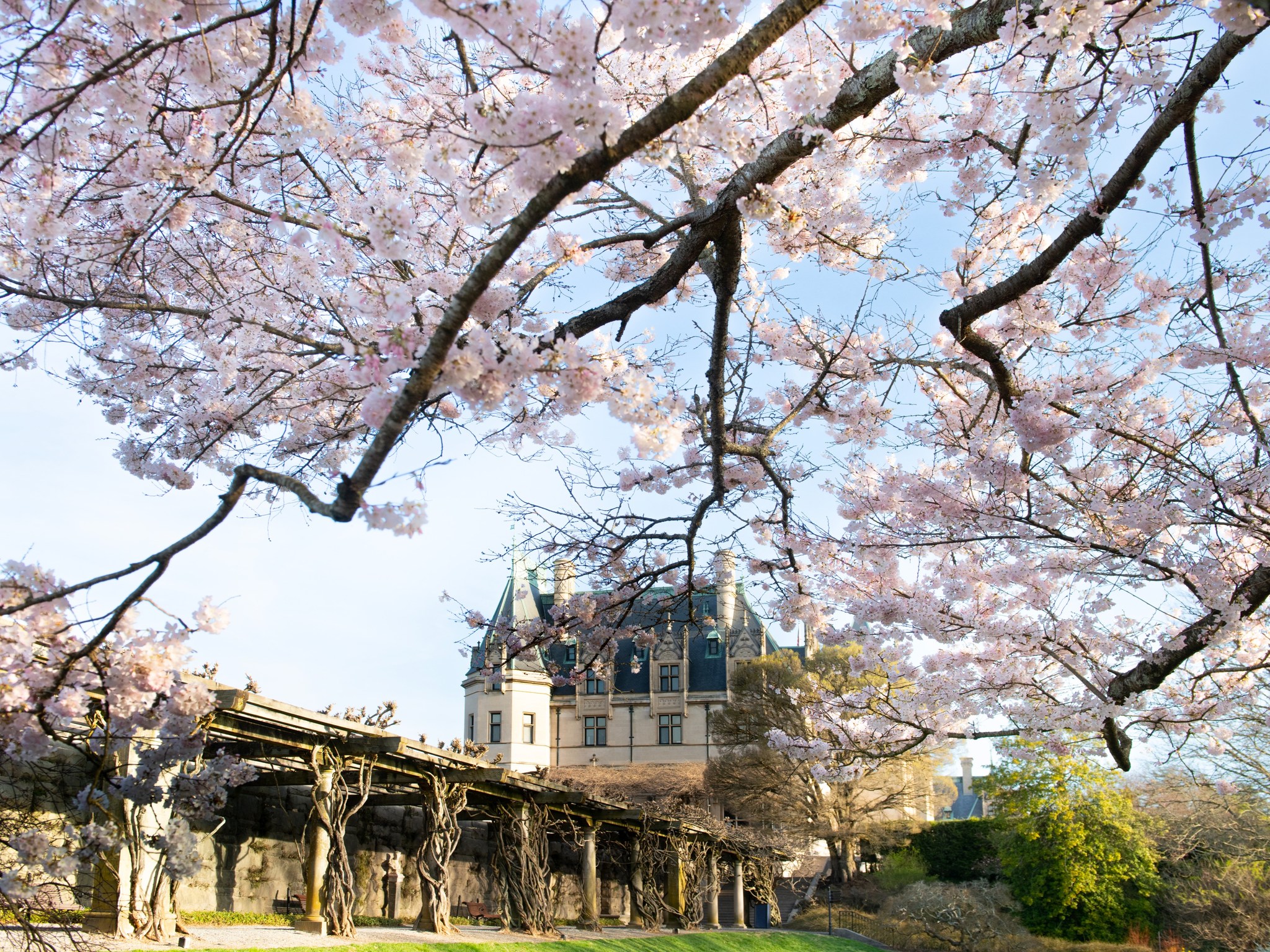 Image for Biltmore Blooms/Spring at Biltmore