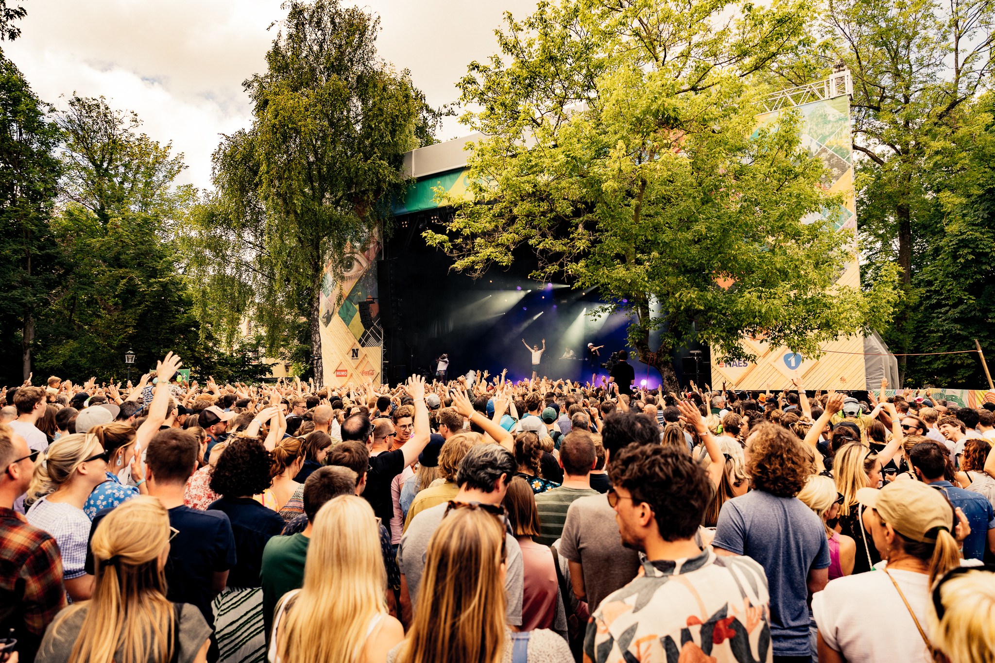 Image for Cactus Festival