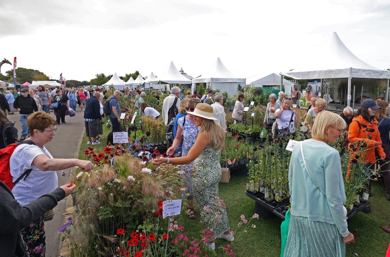 Image for Southport Flower Show