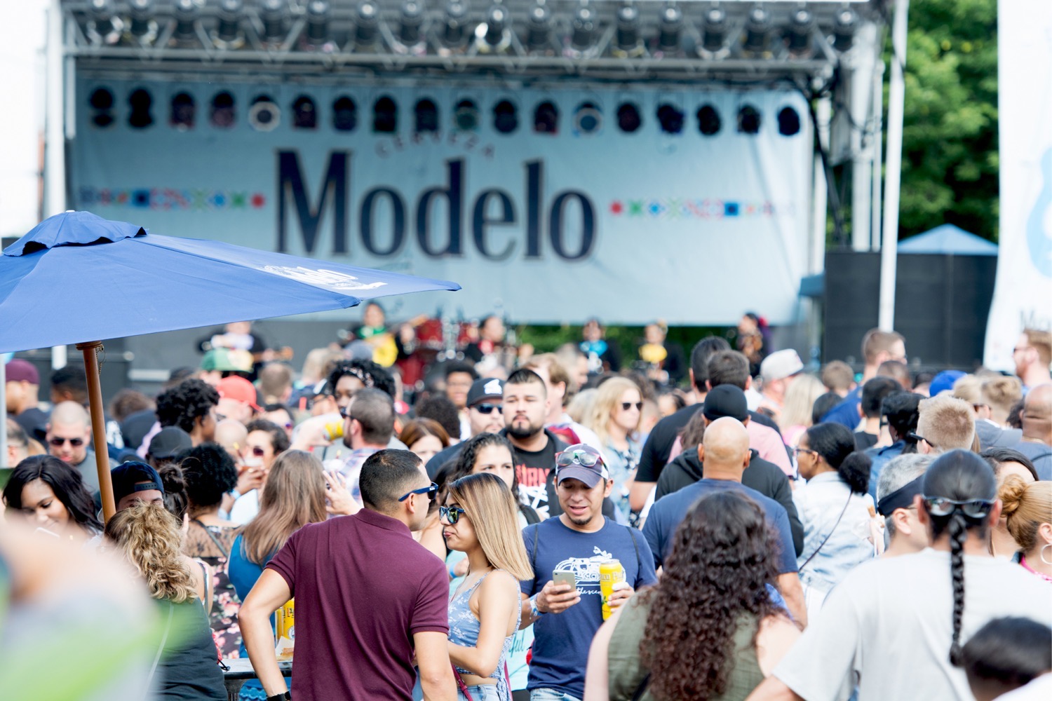 Image for Tacos Y Tamales Festival