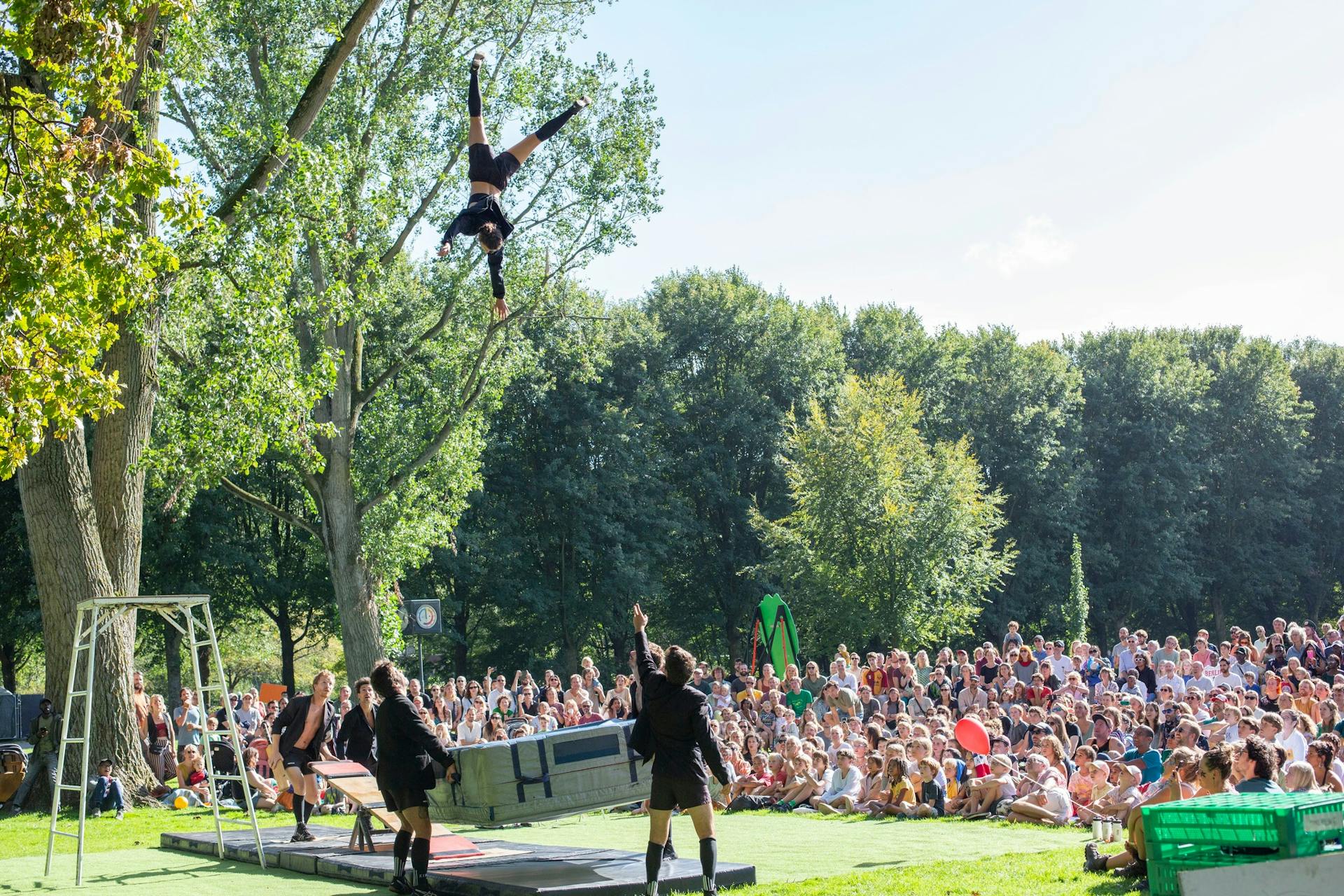 Image for Circusbende Festival
