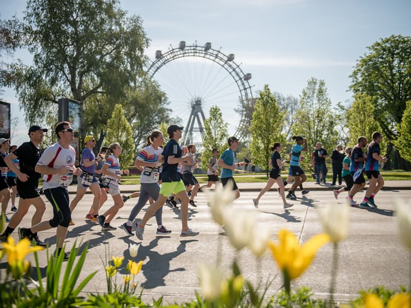 Image for Vienna City Marathon