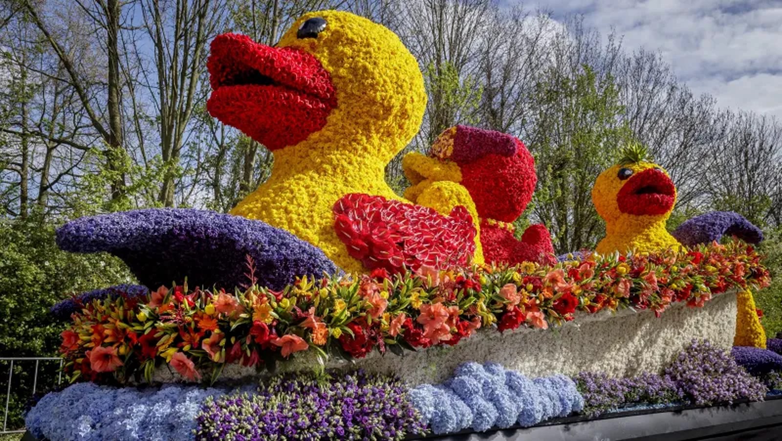 Image for Tulip Festival Amsterdam