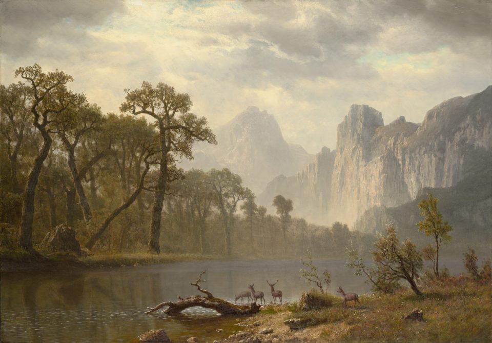 Image for (Un)Settled: The Landscape in American Art