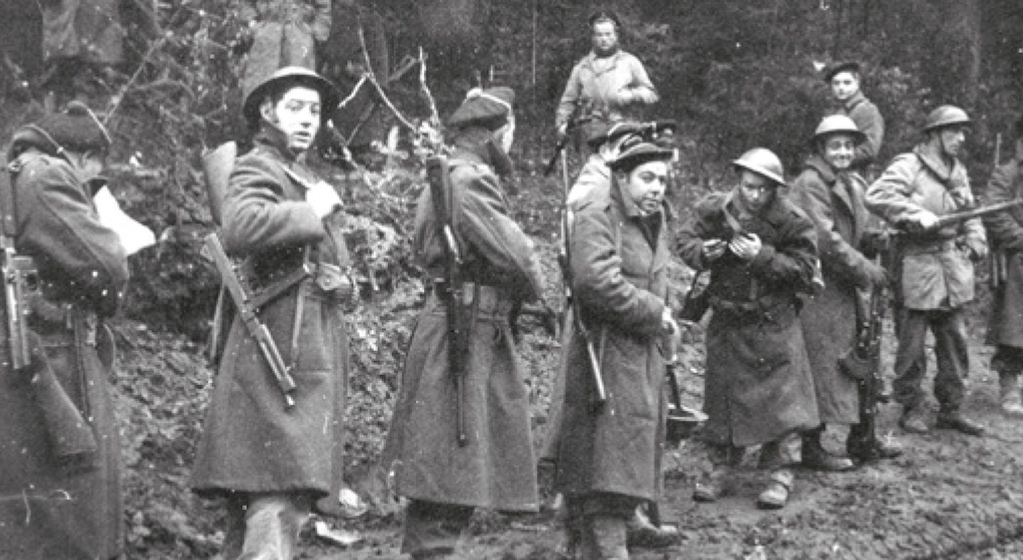 Image for The Forgotten Battles of the Free French Forces: The Liberation of the Vosges and Alsace, Autumn 1944